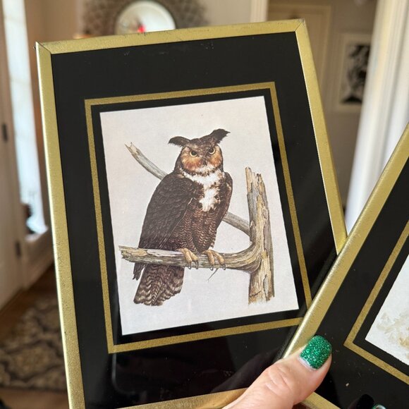 1971 Reverse paint Owl pictures - Picture 11 of 14